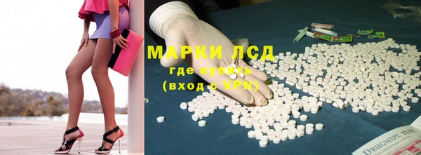 гашик Няндома