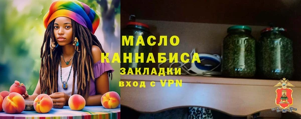 гашик Няндома