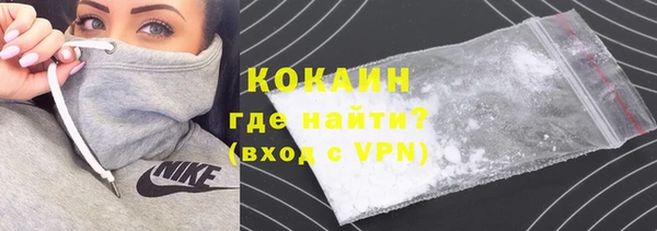 гашик Няндома