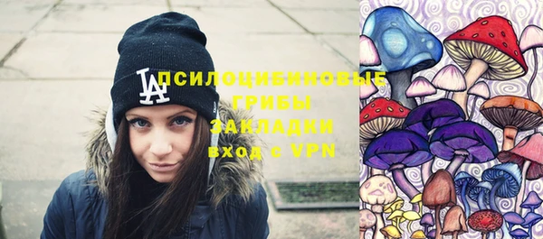 гашик Няндома