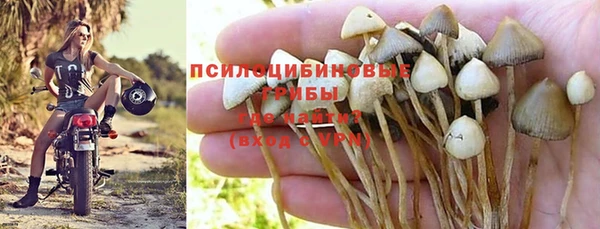 ALPHA-PVP Нягань