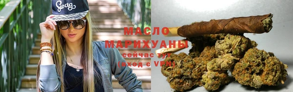 гашик Няндома
