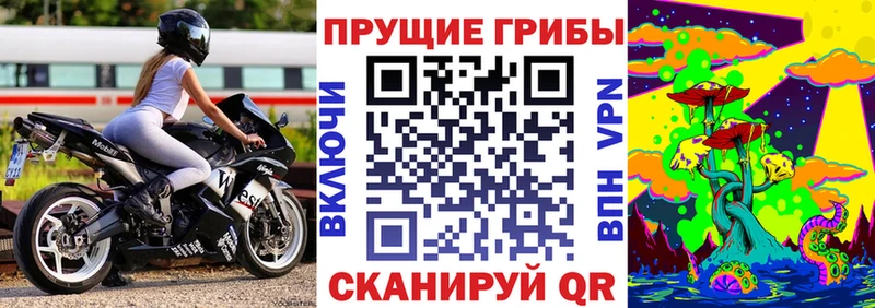 Псилоцибиновые грибы Psilocybe  Березники 