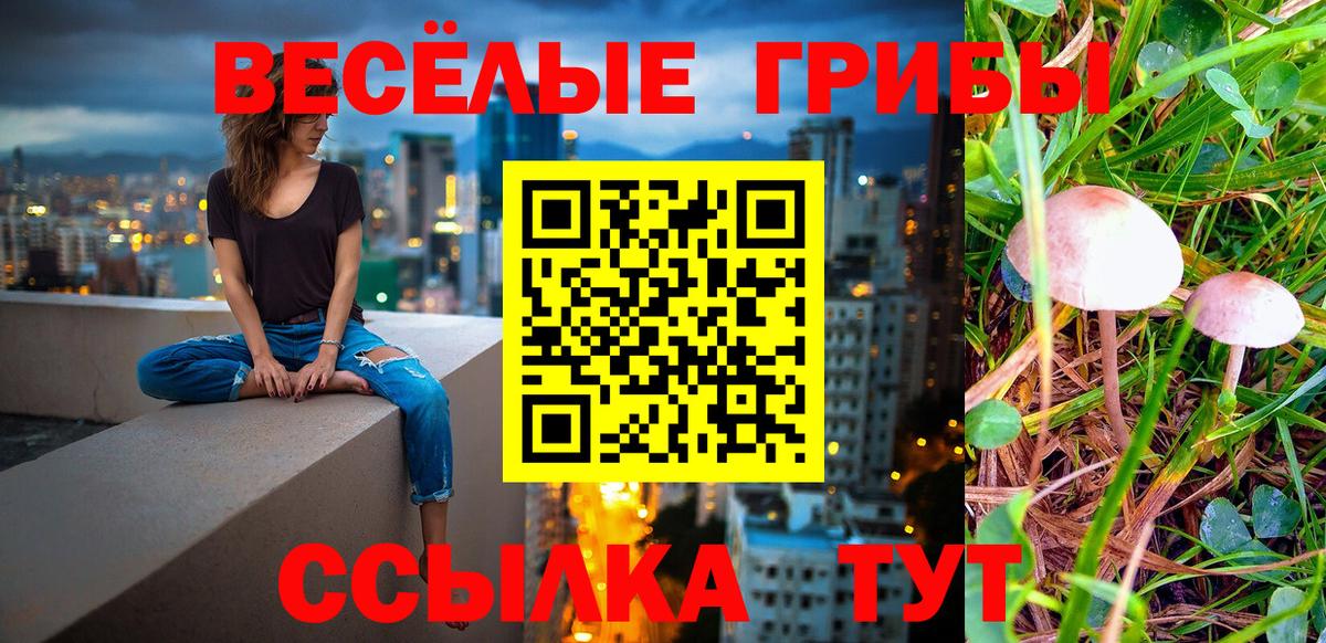 Березники  Псилоцибиновые грибы MAGIC MUSHROOMS  Вход с VPN 